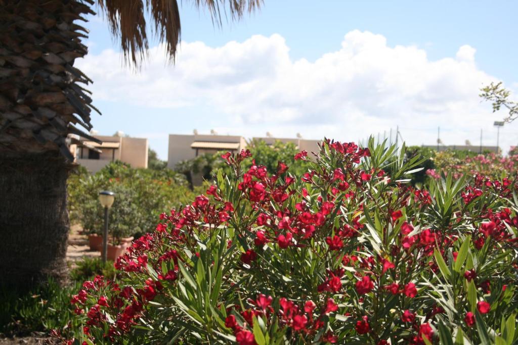Residence Punta Longa Favignana Luaran gambar